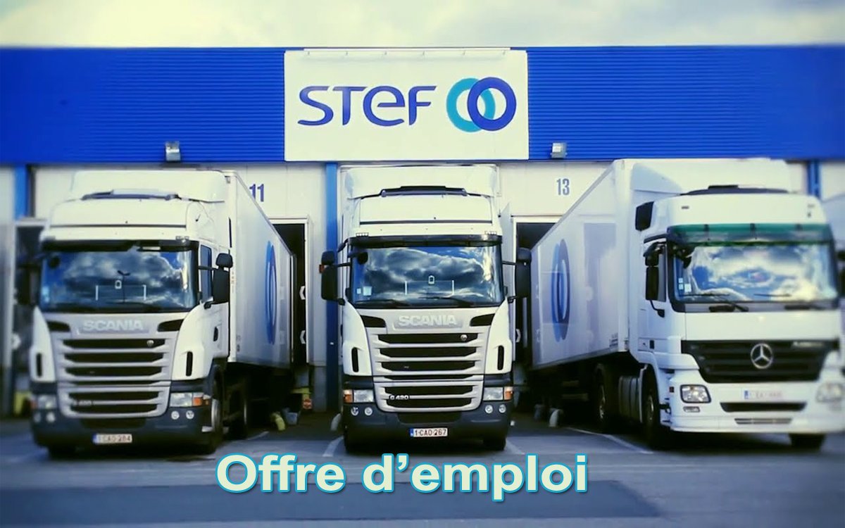 STEF France recrute